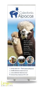 This is a picture of a pop-up banner designed by Alison at Limelite Creative for Caledonia Alpacas in Banknock