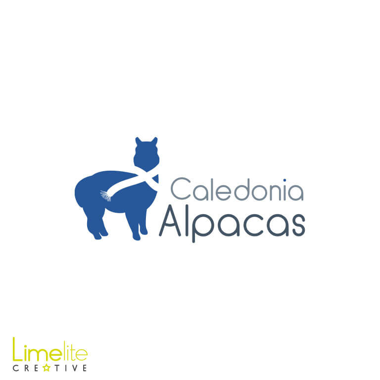 This is a picture of a quirky alpaca logo design for Caledonia Alpacas in Banknock by Limelite Creative